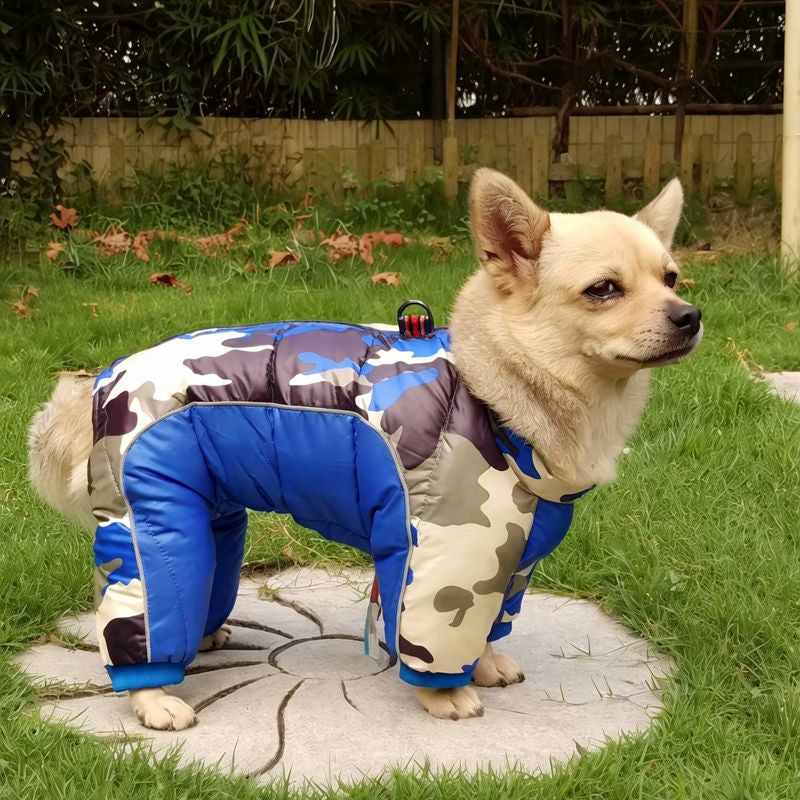 Manteau intégral pour chien, tenue imperméable adaptée aux promenades