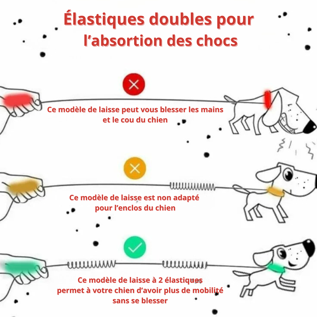 Laisse mains libres verte pour chien