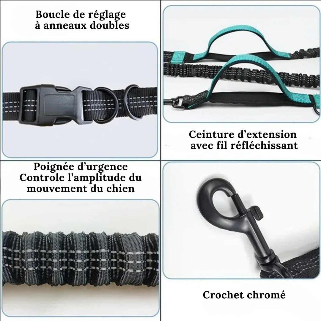 Laisse mains libres pour chien