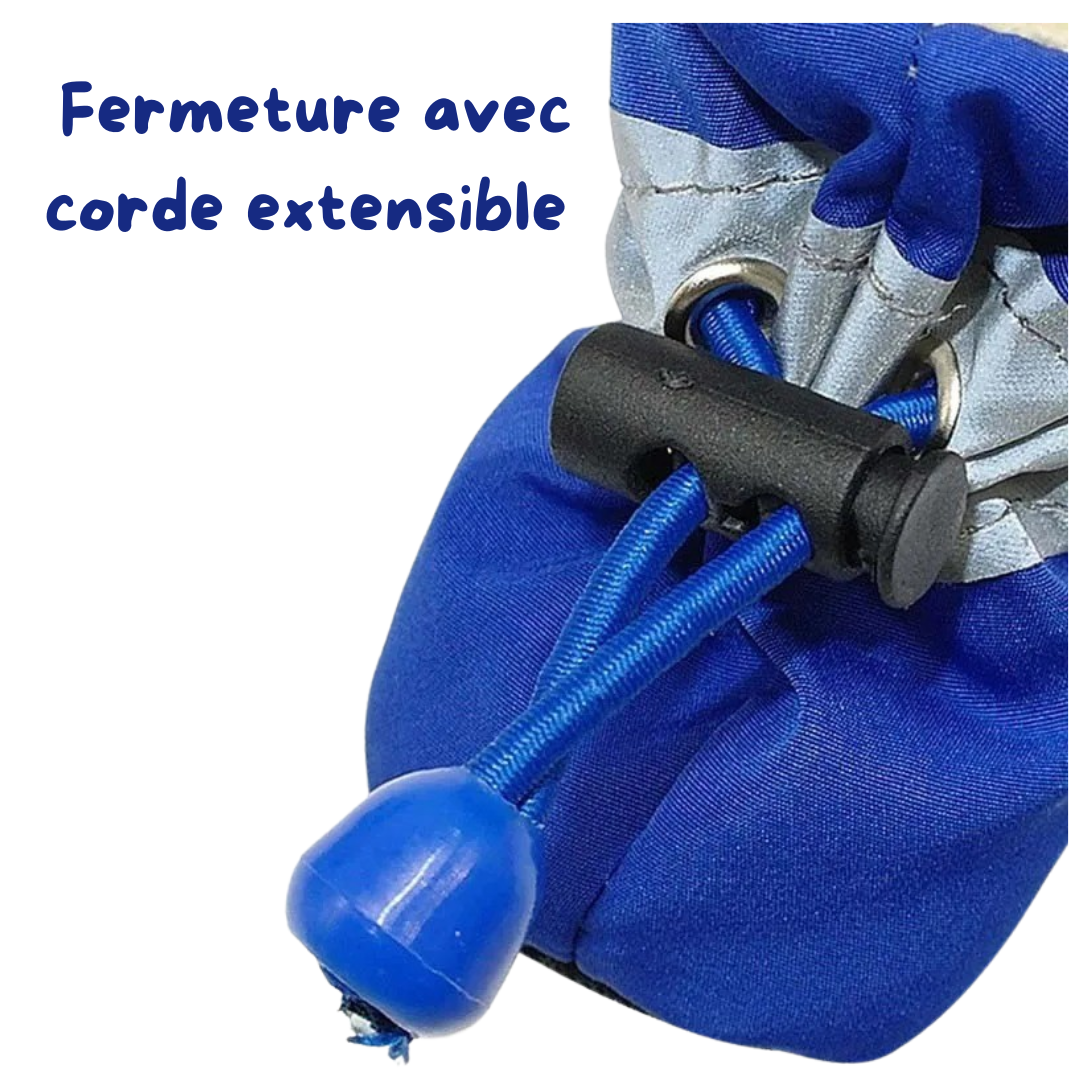 Bottes pour chiens