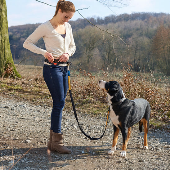 Laisse mains libres pour chien actif en promenade sportive.