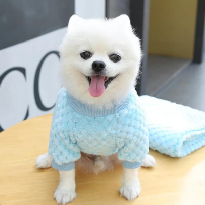 đ Pull pour chien rose Bear Pullâą â Mode et confort pour les chiens frileux