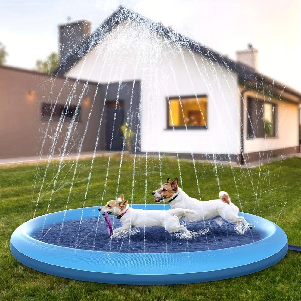 Piscine chien anti chaleur