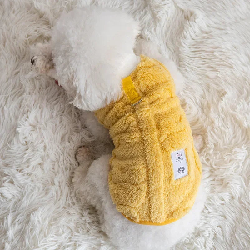 pull-pour-chien