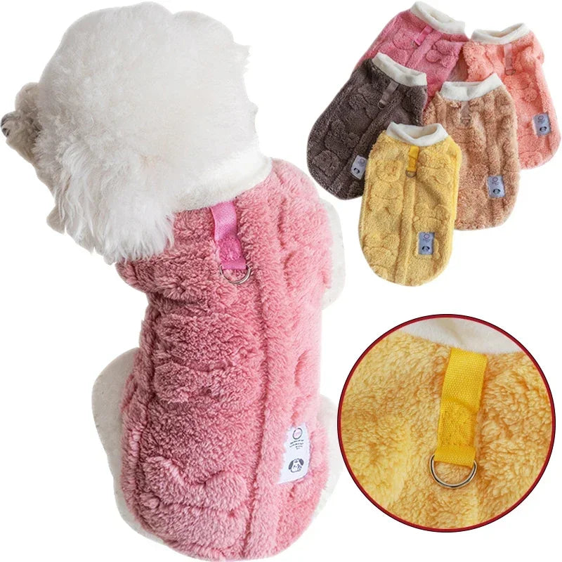 pull-pour-chien