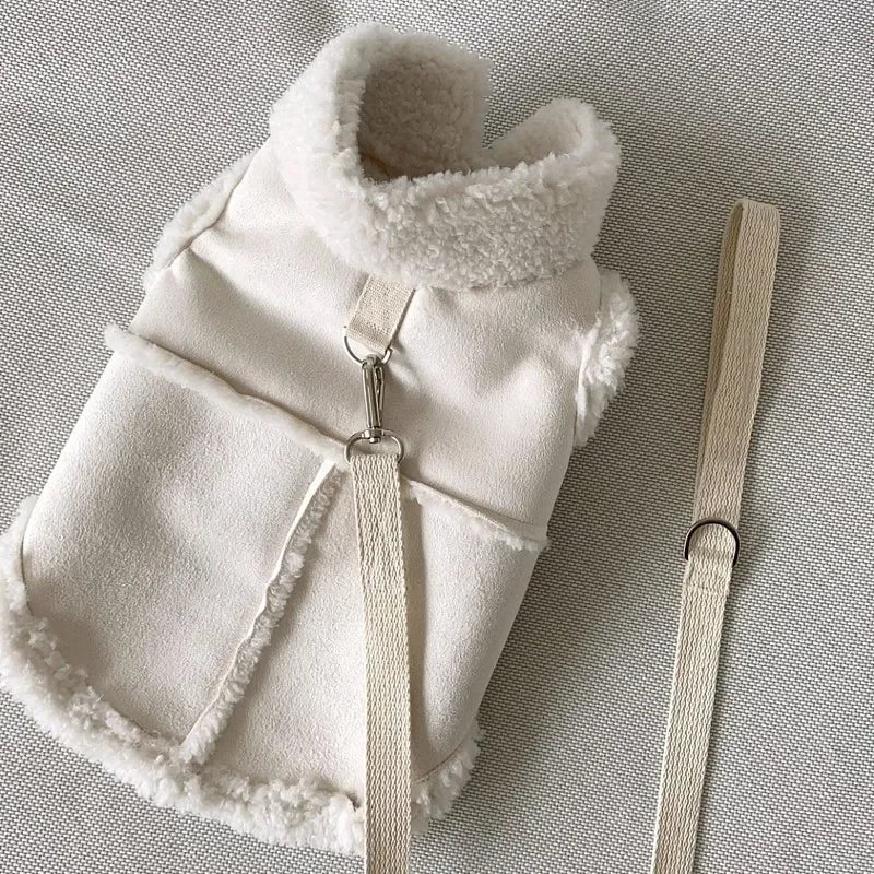 Pull en laine pour chienblanc – protection contre le froid avec style et confort