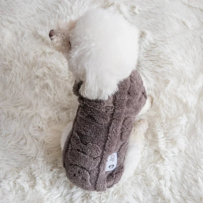 pull-pour-chien