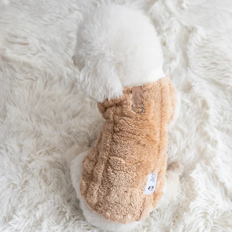 pull-pour-chien