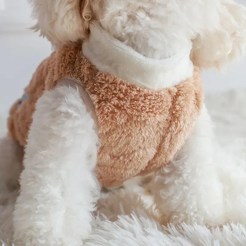pull-pour-chien