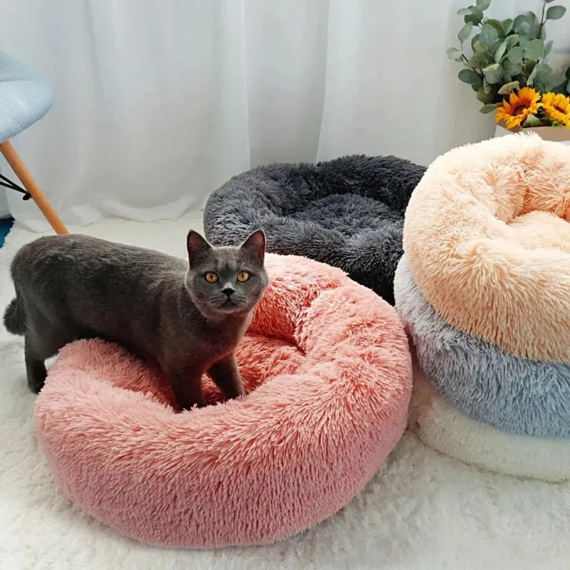 Lit rond en peluche pour chien