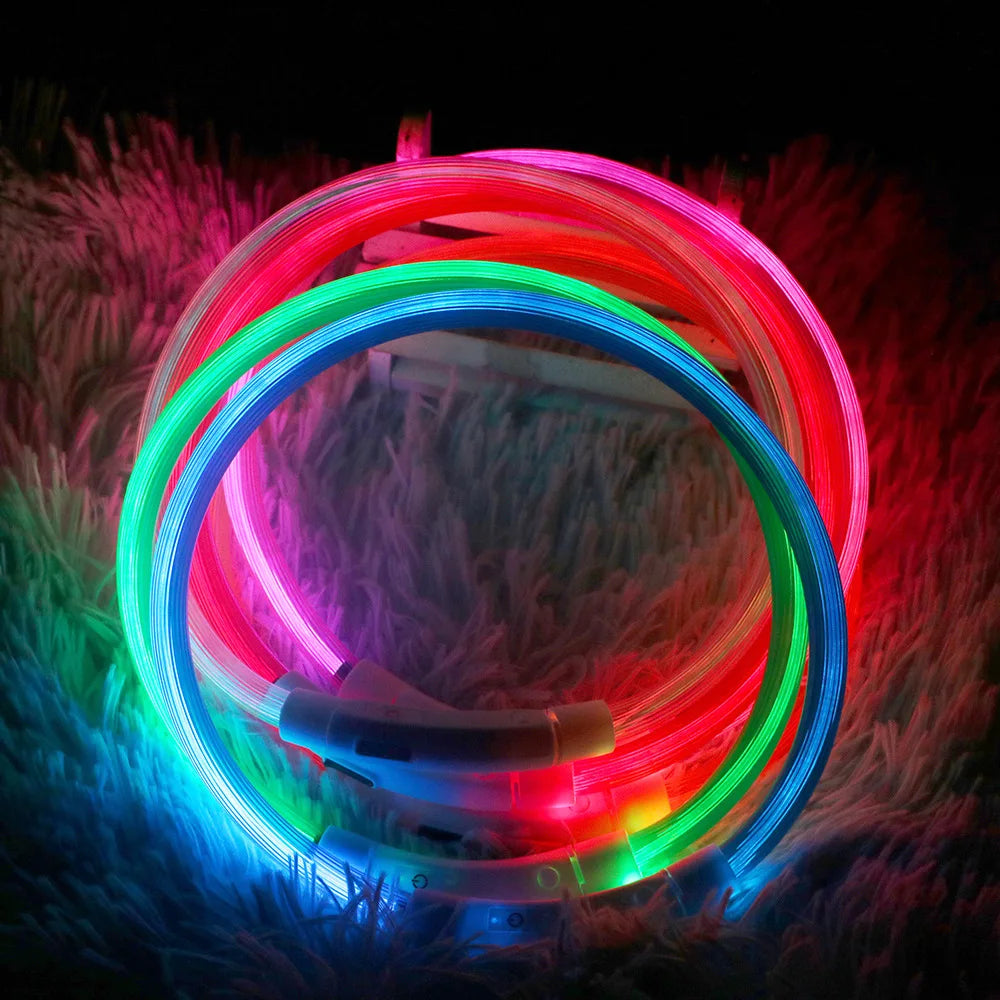collier-lumineux-chien