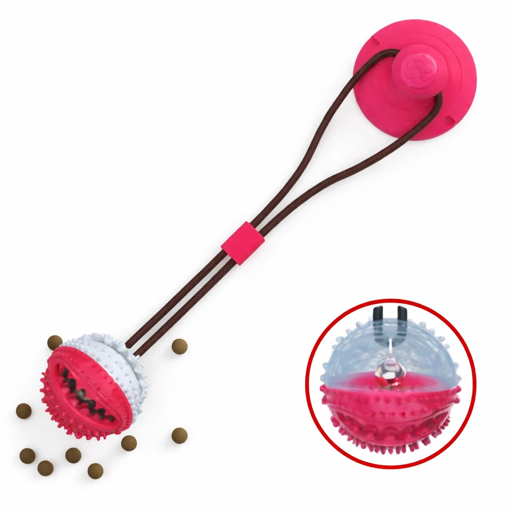 Balle pour chien à ventouse avec corde résistante et distributeur de friandises