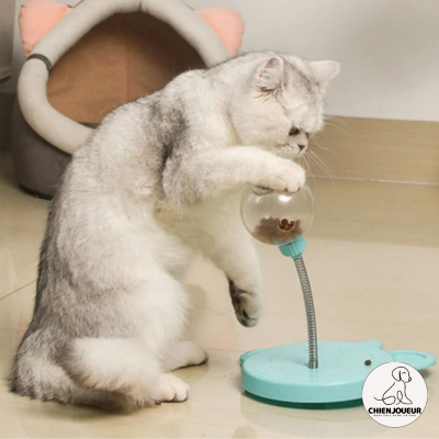 FoodBall™ | Jouet interactif balle interactive pour chien ou chat Chienjoueur