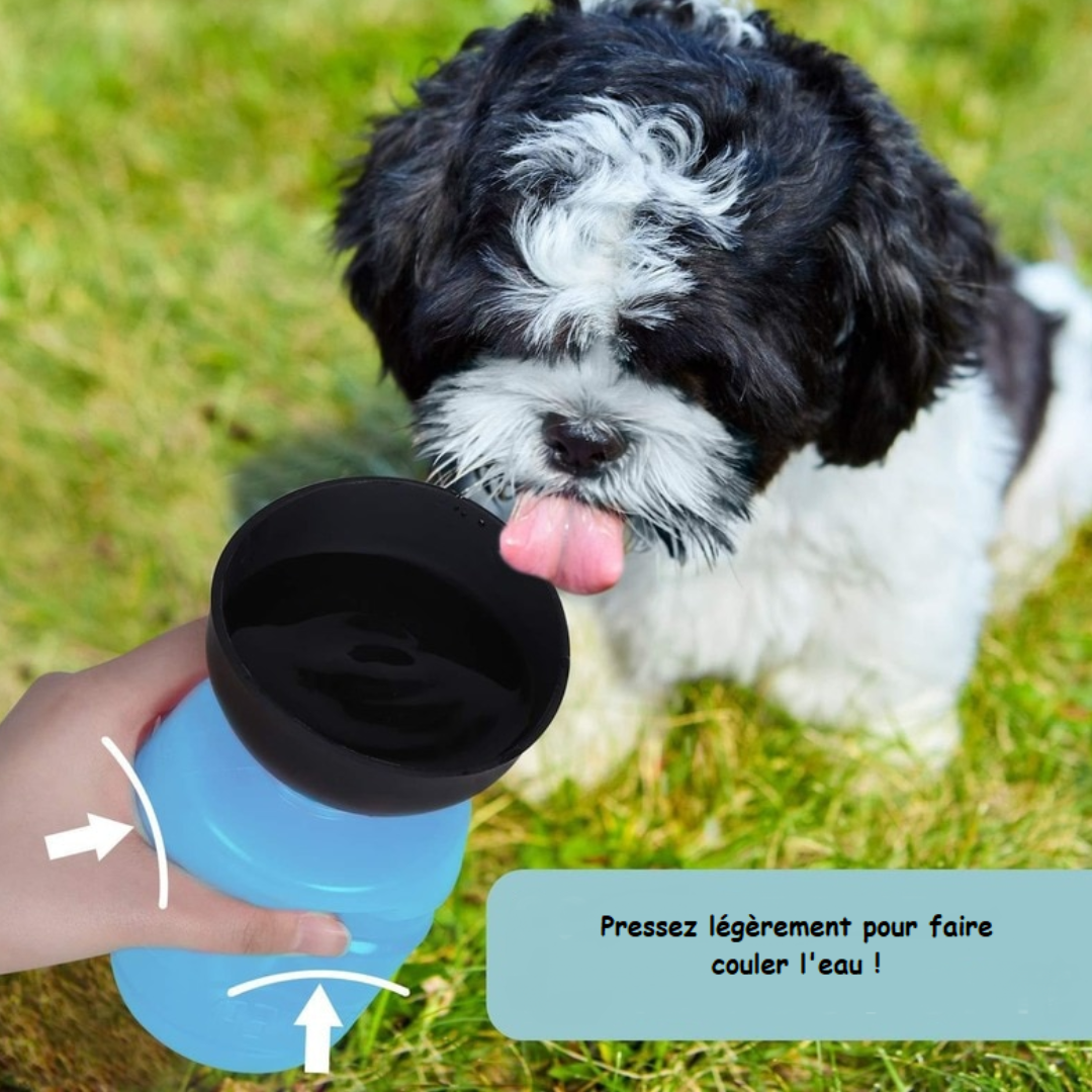 bBouteille-eau-chien-bleu