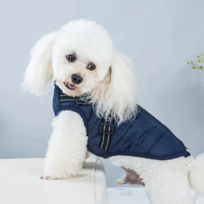 Veste harnais bleue pour chien – design ergonomique avec sangle réglable