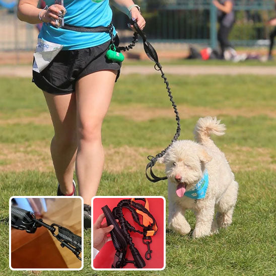 Laisse-main-libre-chien