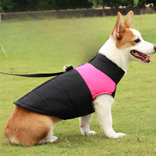 Manteau rembourré pour chien