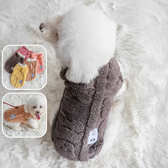pull-pour-chien