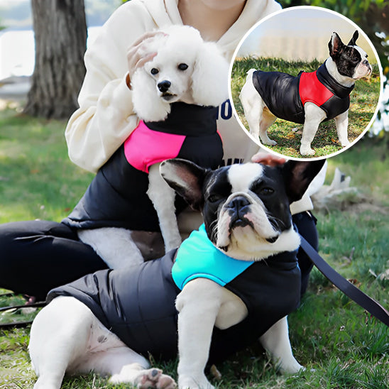 manteau-imperméable-chien