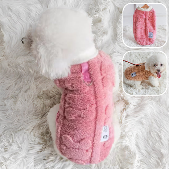 pull-pour-chien