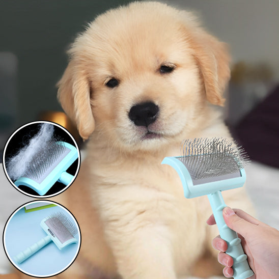 Brosse-de-toilettage