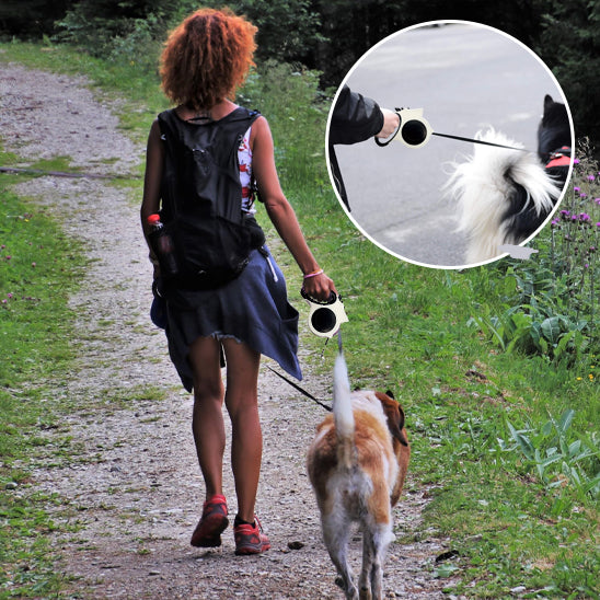Laisse rétractable éclairée noire pour chien – robuste, sécurisée et facile à utiliser