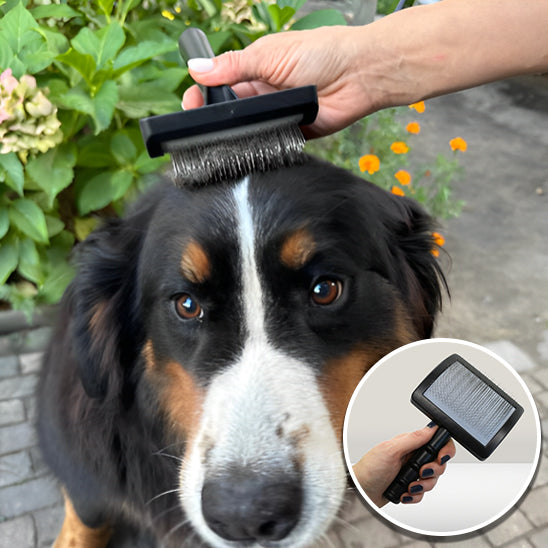 Brosse-de-toilettage