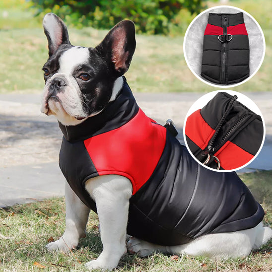 Manteau rembourrĂ© rouge pour chien | Chaleur et confort pour lâhiver