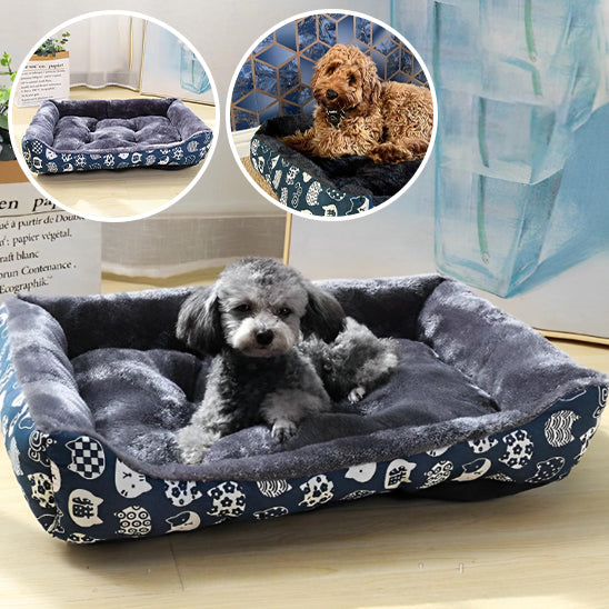 panier-pour-chien