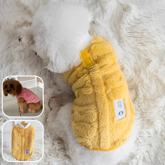pull-pour-chien