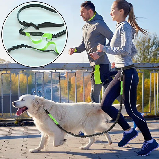 Laisse-main-libre-chien