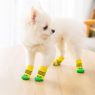 Chaussettes pour chien vertes antidérapantes : confort et sécurité pour pattes sensibles