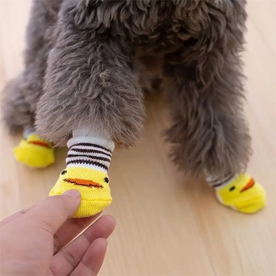Chaussettes pour chien jaunes antidérapantes : confort et sécurité pour pattes sensibles