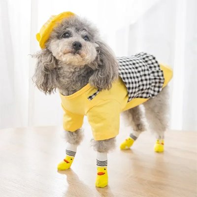 Chaussettes pour chien jaunes antidérapantes : confort et sécurité pour pattes sensibles