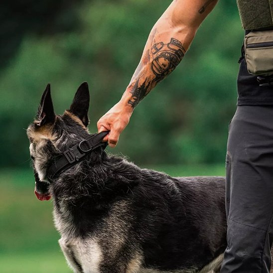 Collier pour chien | Tactique Militaire