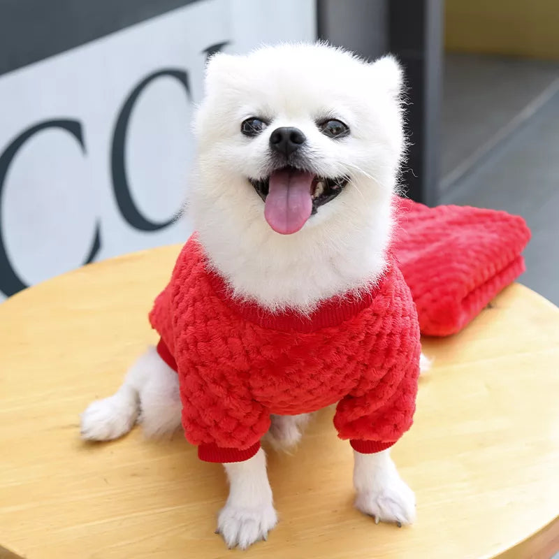 Pull pour chien bleu Bear Pullâą â VĂȘtement chaud et confortable pour promenades hivernales