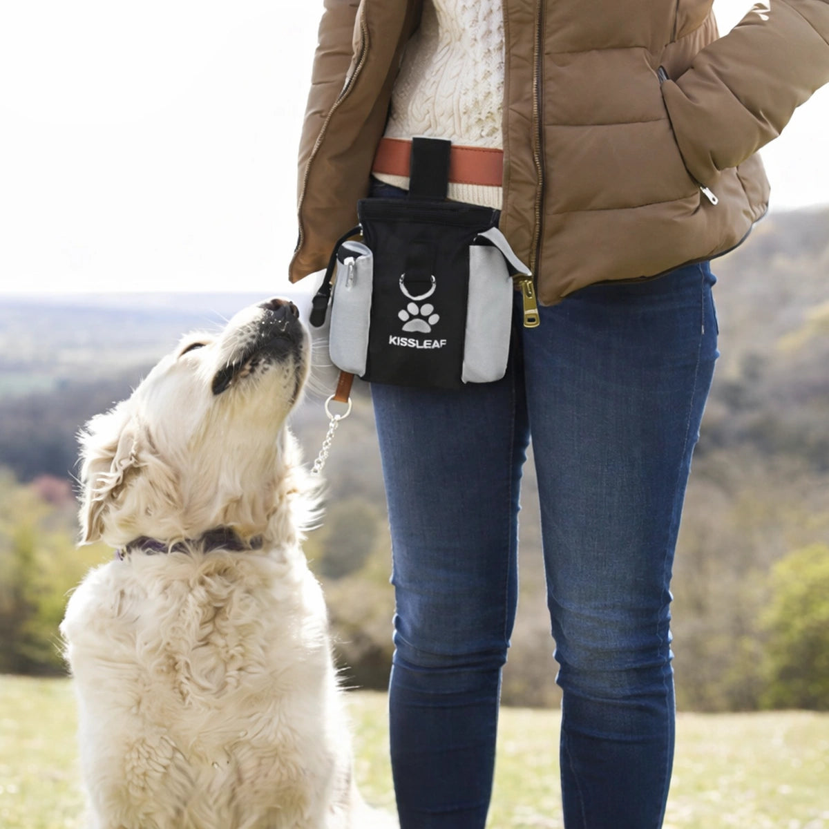Chien regardant son maître lors d’un entraînement en extérieur avec sac à friandises pour chien