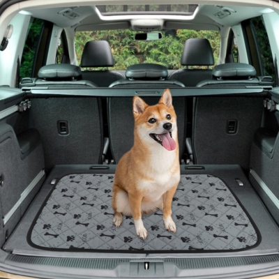 tapis-a-pipi