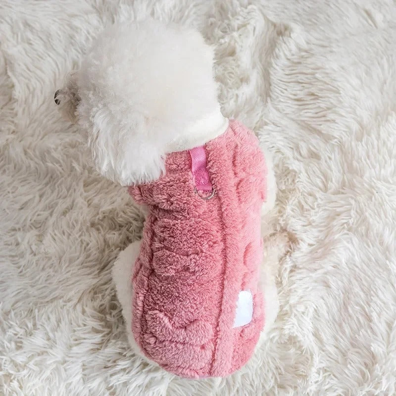 pull-pour-chien