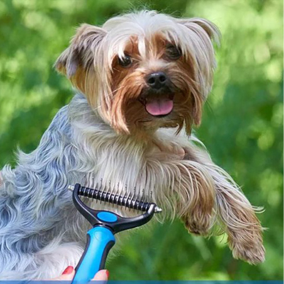 DogBrushPetâą | Brosse de toilettage brosse pour chien Chienjoueur Bleu / Petite