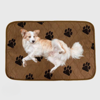 tapis-a-pipi