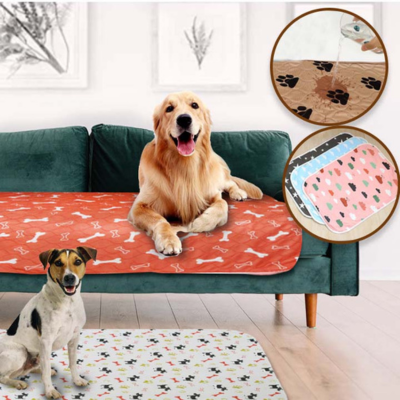 tapis-a-pipi