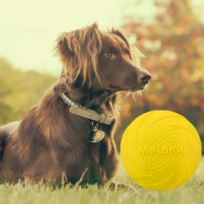 Disque-volant-pour-chien