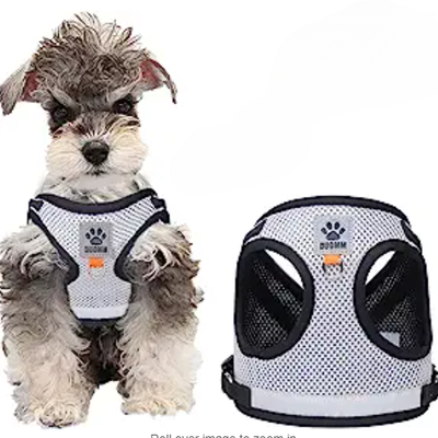harnais-pour-chien