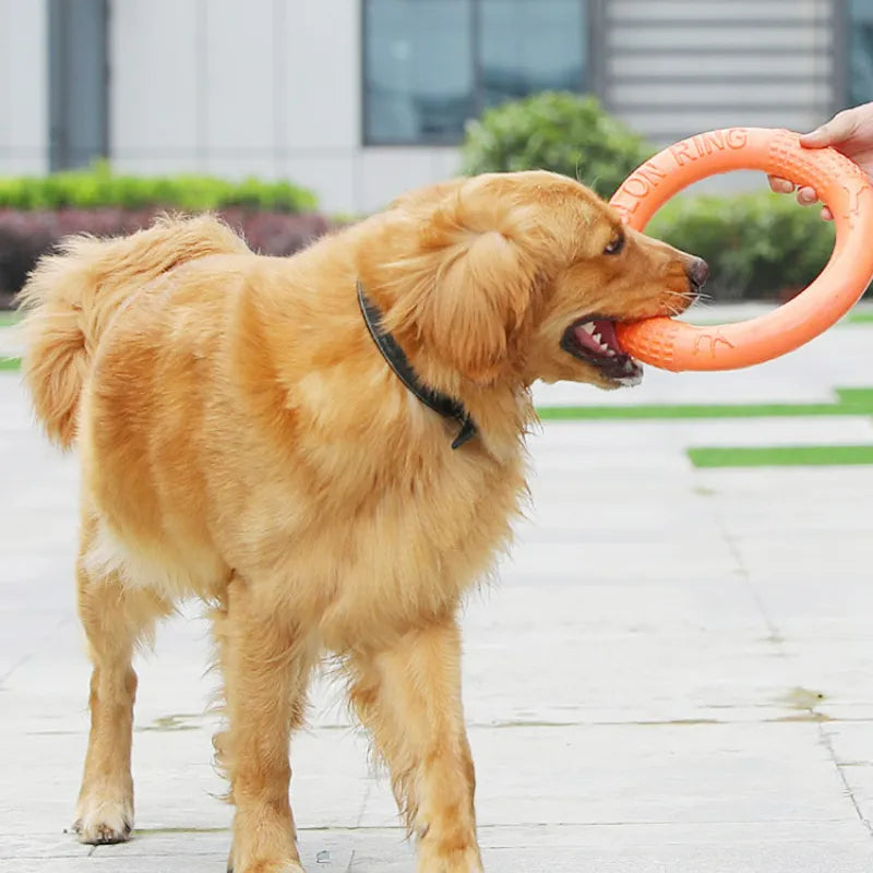 RingToys™ | Jouet interactif Jouet pour chien Chienjoueur   