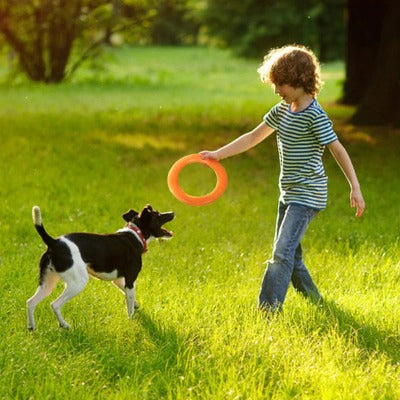 RingToys™ | Jouet interactif Jouet pour chien Chienjoueur   