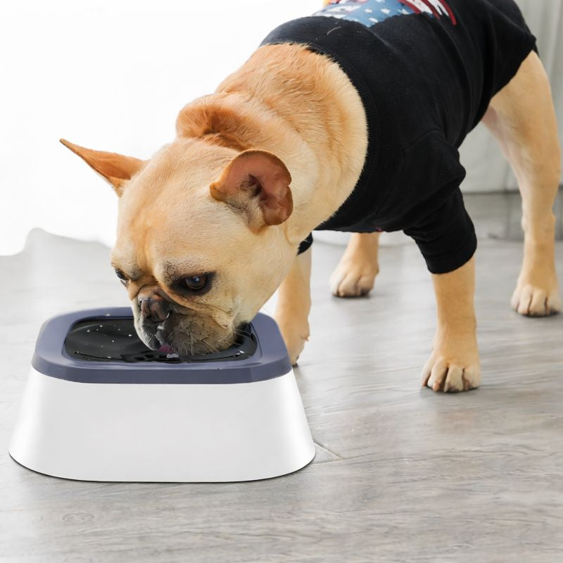 Bol d’eau pour chien avec couvercle anti fuite