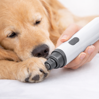 Coupe-ongles pour chien sécurisé
