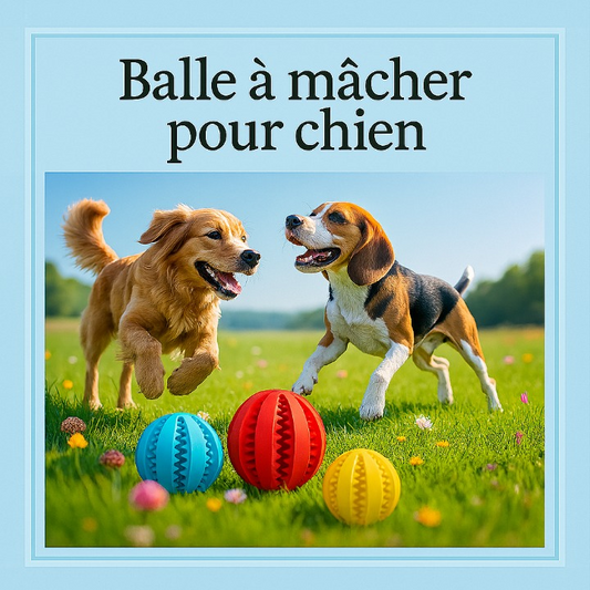 Balle à mâcher pour chien