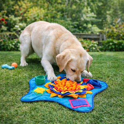 Tapis de fouille pour chien en utilisation